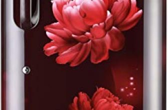 Lg 215 L 4 Star Inverter Direct-Cool Single Door Refrigerator (Gl-B221Ascy, Scarlet Charm, Moist ‘N’ Fresh)