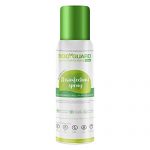 Bodyguard Disinfectant Sanitizer Spray For Multi-Surfaces, Alcohol Based – (100 Ml)