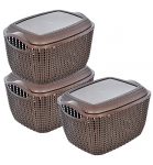 Heart Home Multiuses Large M 30 Plastic Basket/Organizer With Lid- Pack Of 3 (Brown) -46Hh09