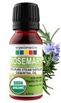 Organix Mantra Rosemary Essential Oil 15Ml, Usda Organic For Skin, Muscle & Joints, Hair Conditioner – 100% Pure Therapeutic Grade Organic Essential Oils