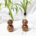 Wooden Double Spherical Propagation Planter Set Of 2 | Test Tube Planter Holder ( Indoor). Plant Container Set (Wood, Glass) | 2 – Wooden Holder With 2 -Borosillicate Test Tube