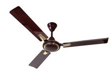 Cinni 1200Mm Kashi Ratna Decorative Metal Ceiling Fan (400Rpm, Brown) (1200Mmkashiratna-Brwn)