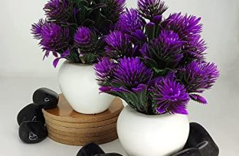 Evoshine® Stylish Ride On Car For Kids With Comfortable Seats & Durable Music Light And Push Drive Feature Ride On For Kids, Kids Ride On, Perfect For Kids Age 1 To 3 Years (Yellow)