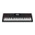 Casio Ct-X8000In 61-Key Portable Keyboard (Black)