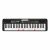 Casio Lk-S250 61 Key Portable Keyboard With Lighting Keys To Learn, Black