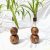 Wooden Double Spherical Propagation Planter Set Of 2 | Test Tube Planter Holder ( Indoor). Plant Container Set (Wood, Glass) | 2 – Wooden Holder With 2 -Borosillicate Test Tube